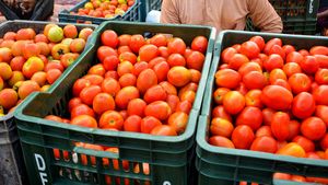 Tomato Price: సెంచరీ దాటేసిన టమాటా.. కూరగాయలు కొనాలంటే అప్పు చేయాల్సిందేనా..!!