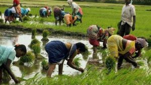 MGNREGS News:ఉపాధిహామీ పథకం కిందకు మరిన్ని పనులు.. ఎగిరి గంతేస్తున్న ఆంధ్ర రైతులు..