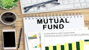 Mutual Funds: 9  నెలల్లో 50 శాతం కంటే ఎక్కువ రాబడి ఇచ్చిన మ్యూచువల్ ఫండ్స్ ఇవే.. 