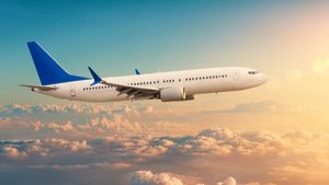 flight journey: బస్సులు, రైళ్లే కాదు విమానాల్లోనూ నో సేఫ్టీ.. అప్రమత్తంగా లేకపోతే అంతే సంగతులు