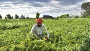 PMFBY: అన్నదాతకు వరంగా ప్రధాన్ మంత్రి ఫసల్ బీమా యోజన.. ప్రయోజనాలివే బాస్..