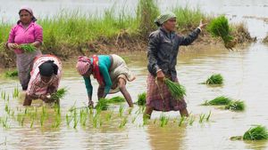 Farm Loans: రైతులకు కేంద్రం శుభవార్త.. ఆ రుణాలపై వడ్డీ రాయితీ.. పూర్తి వివరాలు..