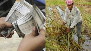 Crop Loan Waiver: రైతు రుణ మాఫీ కోసం తెలంగాణ ప్రభుత్వం ఎంత ఖర్చు చేసిందంటే..!