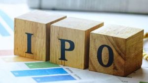 IPO News: ఆగస్టు 6న వస్తున్న ఐపీవోతో రతన్ టాటాకు భారీ లాభం.. మీరూ బెట్ వేస్తున్నారా..?