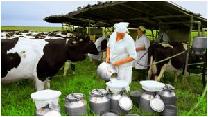 Success Stoy: చిన్న ప్రారంభం నుంచి రూ.20,000 కోట్ల టర్నోవర్.. రియల్ సక్సెస్ స్టోరీ