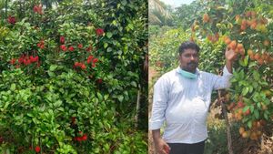 Success Story: చదివింది 10వ తరగతే.. వాటి సాగుతో కోట్లు సంపాదించిన వ్యక్తి, సీక్రెట్ సక్సెస్ స్టోరీ..