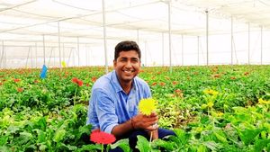 Success Story: రూ.80 LPA జాబ్ మానేసిన మైక్రోసాఫ్ట్ టెక్కీ, స్టార్టప్ సక్సెస్ స్టోరీ.. డెడికేషన్ వేరే లెవెల్ 