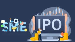 IPO News: తొలిరోజే దమ్ము చూపించిన SME ఐపీవో.. గ్రేమార్కెట్ ప్రీమియం 48%, మీరూ బెట్ వేస్తున్నారా?