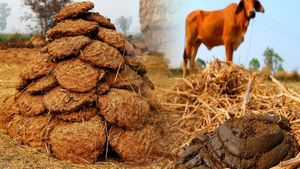 ఇండియాలో బంగారు గనిల ఆవు పేడ.. క్యూ కట్టి కొంటున్న దేశాలు.. అక్కడ ఫుల్ డిమాండ్.. 