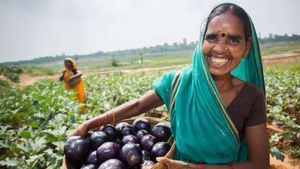 తెలంగాణ రైతులకు శుభవార్త.. వ్యవసాయ రుణ పరిమితి పెంపు, పూర్తి వివరాలు..