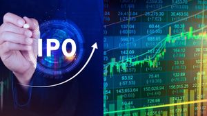 IPO News: సోలార్ కంపెనీ ఐపీవోకు BSE షాక్.. తెరుచుకోవటానికి రోజు ముందే వాయిదా, గ్రేమార్కెట్లో దూకుడు..