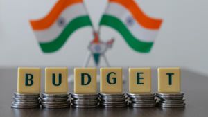  budget 2025: మహిళలు, దళితులు, గిరిజనులకే పెద్దపీట.. ఈసారి కొత్త పథకాలు, కేటాయింపులు ఉంటాయా..!  
