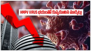HMPV Virus భయంతో కుప్పకూలిన మార్కెట్లు.. దూసుకుపోతున్న స్టాక్స్ ఇవే ఇన్వెస్టర్స్..