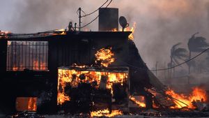 US News: మంటల్లో లాస్ ఏంజెల్స్‌.. లక్షల కోట్లు బుగ్గిపాలు, తప్పించుకున్న టాప్ హీరోయిన్..