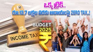 Income Tax: IT ఉద్యోగులకు గుడ్‌న్యూస్.. ఈ ట్రిక్ వాడితో రూ.13.7 లక్షల వరకు ఆదాయంపై 'ZERO' టాక్స్ 