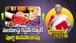 బడ్జెట్‌లో కొత్త ఆదాయపు పన్ను చట్టం, మెడిసిన్స్‌పై బేసిక్ కస్టమ్ డ్యూటీ తగ్గింపు ప్రకటన.. 