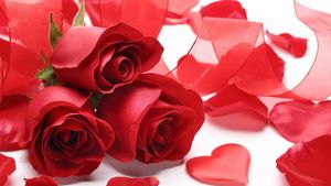 వాలెంటైన్స్ వీక్.. గుప్పుమంటున్న గులాబీలు..  పెళ్లిళ్ల  సీజన్లతో మరింత డిమాండ్.. ఒక్క గులాబీ ఎంతంటే ?