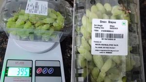 Blinkit News: కస్టమర్లకు గుండేస్తున్న బ్రింకిట్..! వినియోగదారుడి ఆగ్రహం, ఏమైందంటే..?