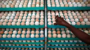 US News: అమెరికాను వేధిస్తున్న కొత్త తలనొప్పి.. ఈసారి మనుషులను కాదు గుడ్లు అక్రమ రవాణా..!