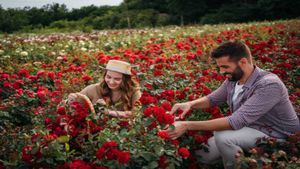 అంధుడి అదృష్టాన్ని మార్చేసిన  గులాబీలు.. సెక్యూరిటీ గార్డు నుండి క్లినర్ వరకు... నేడు లక్షల్లో సంపాదన.. 