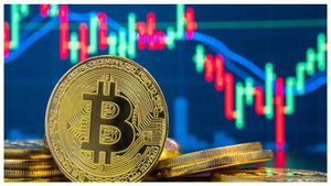 2009లో కేవలం రూ.2 పెట్టుబడి ఇందులో పెట్టుంటే ఇప్పుడు రూ. కోటి అయ్యేది..