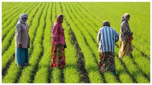 రైతులకు కేంద్రం బంపర్ గిఫ్ట్ – రూ.24,000 కోట్లు విడుదల