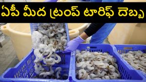 ట్రంప్ టారిఫ్ తొలి దెబ్బ..సంక్షోభంలోకి భారత రొయ్యల పరిశ్రమ..కుప్పకూలిన ఆక్వా షేర్లు