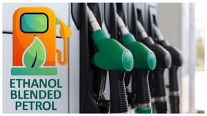 పాత కార్లు కొత్త ఇంధనంతో పోటీ పడగలవా? E20 వాడకంపై ప్రభుత్వం ఏమంటోంది?