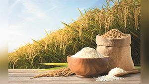 ఫిలిప్పీన్స్‌కి రైస్ ఎగుమతులేనా… భారత్ ఎదురుచూసే అన్‌ట్యాప్‌డ్ గోల్డ్‌ మైన్!