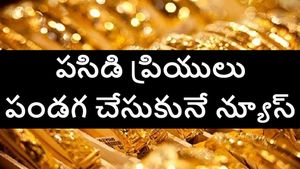 బంగారం ఈ రేటుకు దిగి వచ్చినప్పుడే  కొనండి.. పసిడి తగ్గుదలపై గుడ్ న్యూస్ చెబుతున్న నిపుణులు 