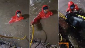 వీడియో ఇదిగో..భారీ వర్షాలకు ఓపెన్ డ్రెయిన్‌లో పడిపోయిన జొమాటో డెలివరీ బాయ్.. కేవలం రూ. 10 కోసం..