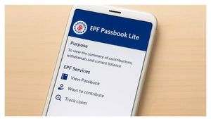EPFO కొత్త ఫీచర్‌తో PF చెక్ చేయడం ఇంత ఈజీగా ఎప్పుడూ లేదు!
