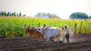 రైతులకు గేమ్‌చేంజర్‌గా మారబోతోన్న బీమా పథకం… వాతావరణం ఏదైనా మాత్రం సాయం తక్షణమే