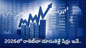 2026లో కాసుల పంట పండించే టాప్ స్టాక్స్ ఇవే..! ఇన్వెస్టర్లు అస్సలు మిస్ కావొద్దు!