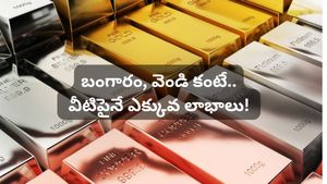 ఈ ఏడాది కాసుల పంట కురిపించిన మెటల్ ఇదే! ఇన్వెస్టర్లు దీన్ని' న్యూ గోల్డ్' అంటున్నారు!