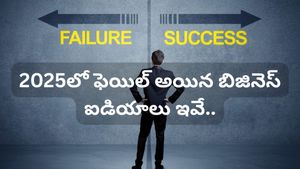 Business Ideas: 2025లో బోర్లా పడ్డ బిజినెస్ ఐడియాలు ఇవే! ఈ తప్పులు మీరు చేయకండి!