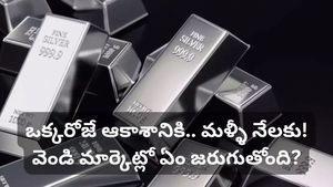 silver rate: వెండి ధరల విధ్వంసం.. 2.5 లక్షల రికార్డు.. ఆపై భారీ పతనం! ఇప్పుడు కొనాలా? వద్దా?
