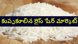 ట్రంప్ టారిఫ్ హెచ్చరిక..కుప్పకూలిన భారత రైస్ కంపెనీల షేర్లు.. ఎంతలా అంటే..