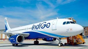 Indigo Flight Refund: ఫ్లైట్ టికెట్ క్యాన్సిల్ అయితే.. రీఫండ్ పొందడం ఎలా?
