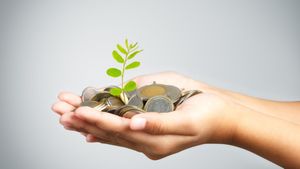 పెద్ద మొత్తంలో డబ్బు ఉందా? ఇలా పెట్టుబడి పెడితే భయపడక్కర్లేదు!