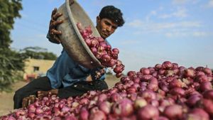 రైతు తెలివికి హ్యాట్సాఫ్..! చిన్న ట్రిక్‌తో రూ.7 ఉల్లిని రూ.15కి అమ్మాడు? బిజినెస్ అంటే ఇలా ఉండాలి!