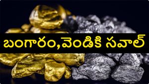 బంగారం వెండి కాదు ఈ లోహానికే ఇకపై పుల్లు డిమాండ్.. ఎగబడి కొంటున్న పెట్టుబడిదారులు