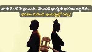 రెండో పెళ్లి చేసుకున్నా, భార్యకు ఉద్యోగం ఉన్నా భరణం కట్టాల్సిందేనా? కోర్టులు ఏమంటున్నాయి?