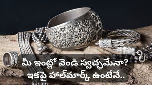 Silver: వెండి ఆభరణాలపై త్వరలో కొత్త రూల్..! కొనుగోలు చేసే ముందు ఇవి గమనించండి!