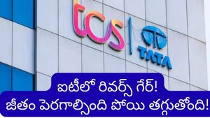 జీతం పెరగాల్సింది పోయి.. తగ్గింది! TCS ఉద్యోగి ఆవేదన! ఐటీ ఉద్యోగులు తప్పక తెలుసుకోవాల్సిన విషయం!