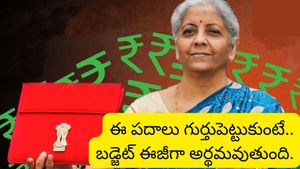 Budget 2026: నిర్మలమ్మ లెక్కలు అర్థం కావాలంటే.. ముందు ఈ పదాల అర్థాలు తెలుసుకోవాలి..!