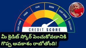 Budget 2026: బడ్జెట్‌లో రాబోతున్న ఈ భారీ మార్పుతో.. మీ క్రెడిట్ స్కోర్ ఈజీగా పెంచుకోవచ్చు!