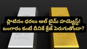 Gold: షాకిస్తున్న ప్లాటినం రేట్లు.. ఒక్కసారిగా ఆల్‌ టైమ్ హై రికార్డ్! ఎలా ఇన్వెస్ట్ చేయాలి?