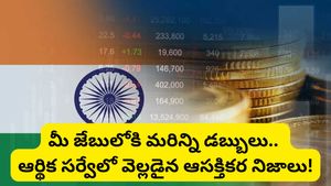 Economic survey: ఆర్థిక సర్వే విడుదల.. ప్రపంచ దేశాలకు షాక్ ఇస్తున్న భారత్! హైలైట్స్ ఇవే..!