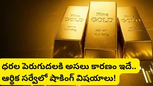 gold rates: బంగారం ధరల జోరు వెనుక అసలు గుట్టు ఇదే.. ఎకనామిక్ సర్వేలో షాకింగ్ నిజాలు!